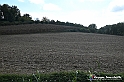 VBS_5369 - La solita strada... il grano da crescere, i campi da arare...